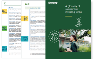 2020 Sustainable Investing Report
