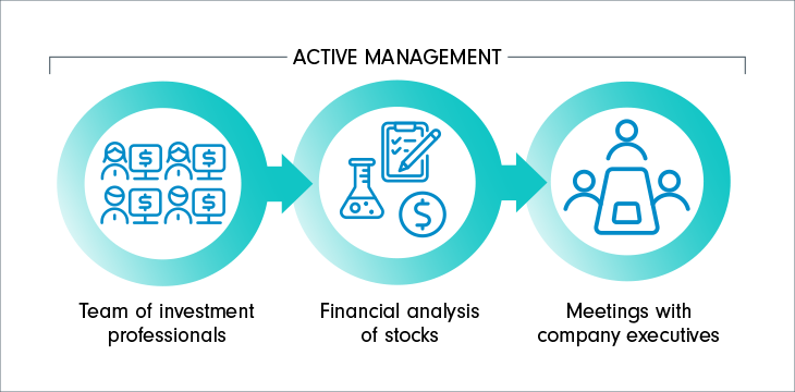 The value of active management at Fidelity is composed of a team of investment professionals who conduct financial analysis of stocks and have access to meet the executives of the companies invest in or are considering investing in.