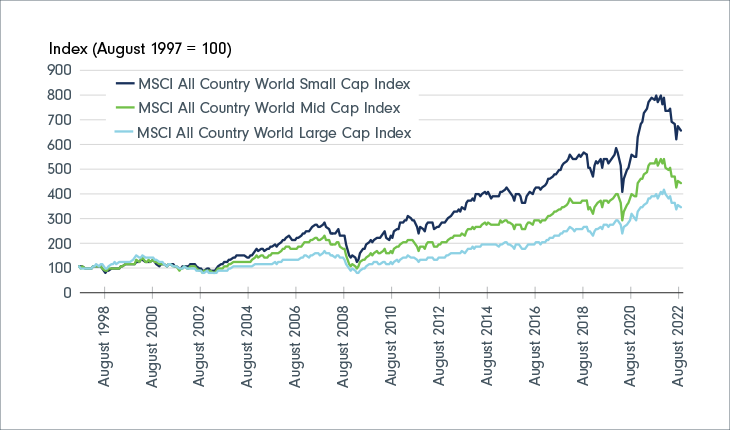 Line chart comparing MSCI All country World Small Cap Index, MSCI All Country World Index and MSCI All Country World Large Cap Index. The data in the chart are described in the text.