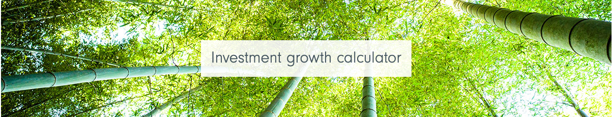 Investment Growth Calculator