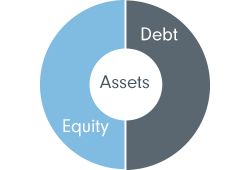 A company's assets are made up of equity and debt.  This is a company's capital structure.