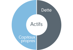 A company's assets are made up of equity and debt. This is a company's capital structure.