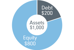 A company's assets are made up of equity and debt.  Low leverage means lower debt to equity ratio. 