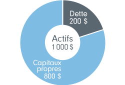A company's assets are made up of equity and debt. Low leverage means lower debt to equity ratio.